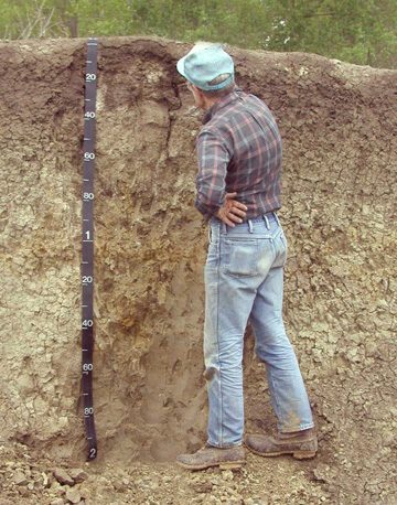 Pemeriksaan tanah