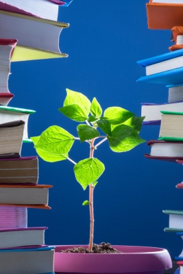 Lingkungan-Pendidikan-2-buku