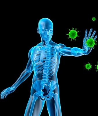 Pengertian Sistem Kekebalan Tubuh Immune Pengertian Apa Itu Net