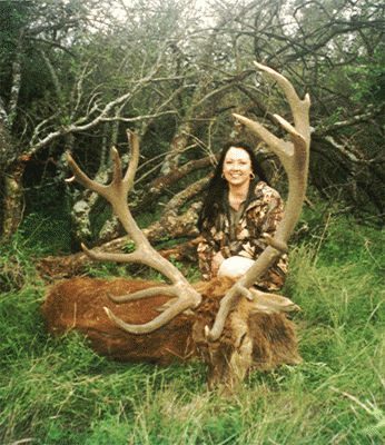 hunting-big-11-deer-colora_gif