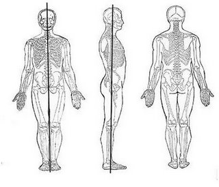 Posisi anatomi